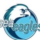 mypodpodiatry-logo-seaeagles